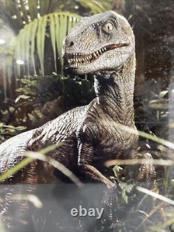 1993 Jurassic Park Framed Velociraptor Poster RARE Universal amblin OSP 82260