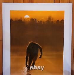 Original Movie Poster, The Legend of Boggy Creek 1973 1SH 41x27, Linen Backed