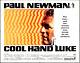 Poster folded Paul Newman is COOL HAND LUKE 1967 US HALF 22x28 ORIGINAL