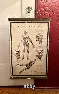Ultra Rare THE SHAPE OF WATER Guillermo Del Toro CANVAS Collectible Movie Poster